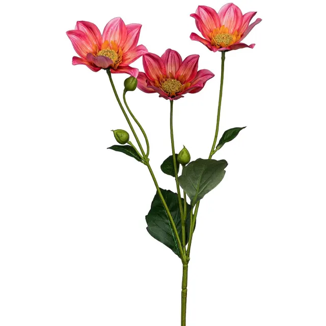Gasper Mignon-dahlia roze & geel Ø 9 cm 67 cm