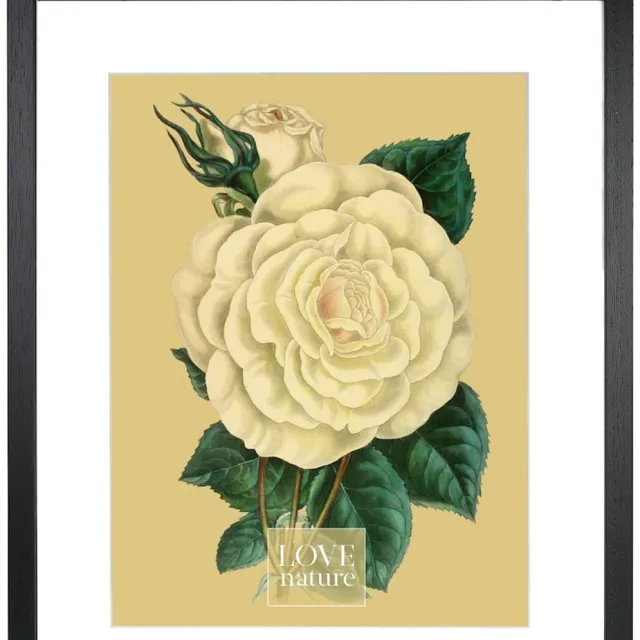 Goldbuch Fotolijst Rustiq - Zwart - 40x50 cm