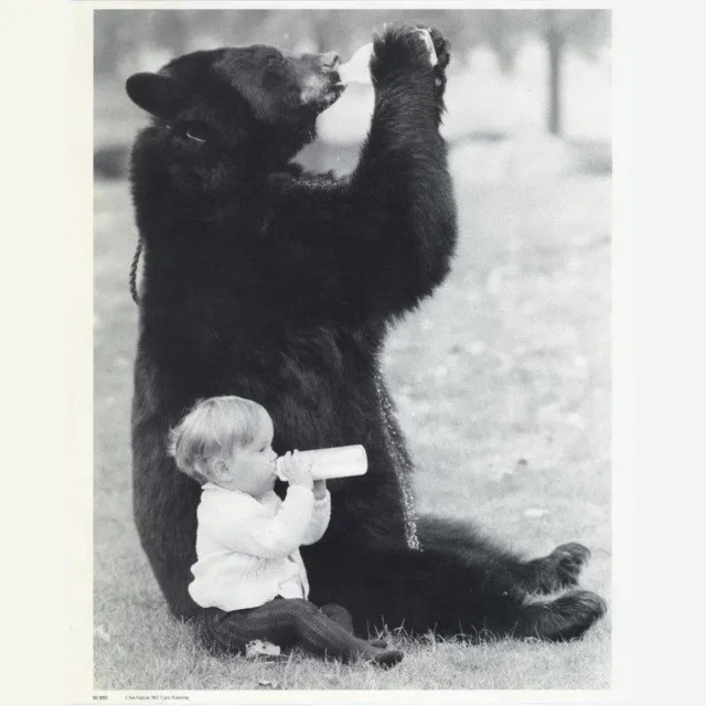 Catch Projecten Mini zwart-wit poster - Drinking Bear - Rex - 24x30 cm