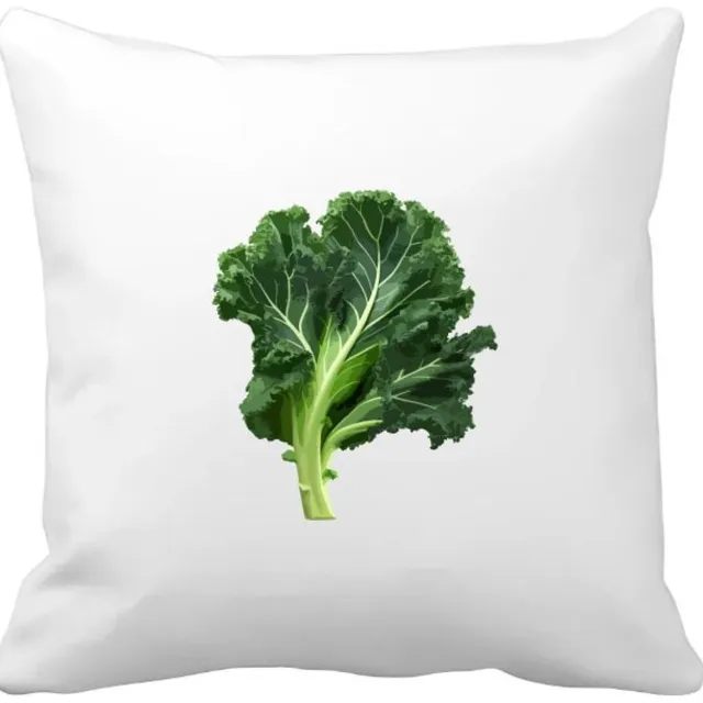 Akyol boerenkool Kussen hoes - Eten & drinken - junkfood - liefhebbers van groente en fruit - groente - gezond eten - eten - 40 bij 40 cm Multicolor