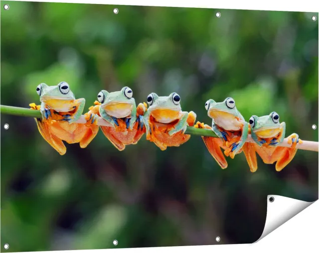 Gards Tuinposter Groep Kikkers op een Tak - 120x80 cm - Tuindoek - Tuindecoratie - Wanddecoratie buiten - Tuinschilderij Multikleur
