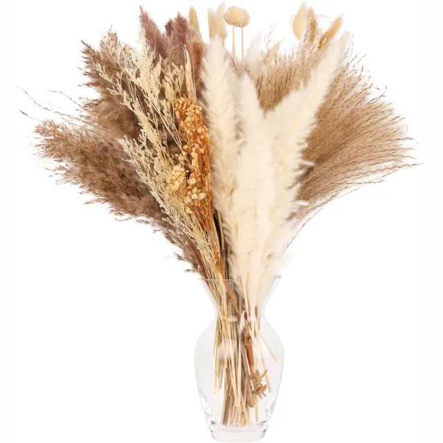 Ibenzoa Uitgebreide Set van 104 Stuks Diverse Gedroogde Natuurlijke Pampasgras Decoratie voor Boho-Stijl wit