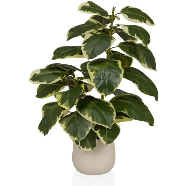 Unyqoos Groenblijvende kunstplant Ficus elastica met realistische uitstraling voor elk interieur