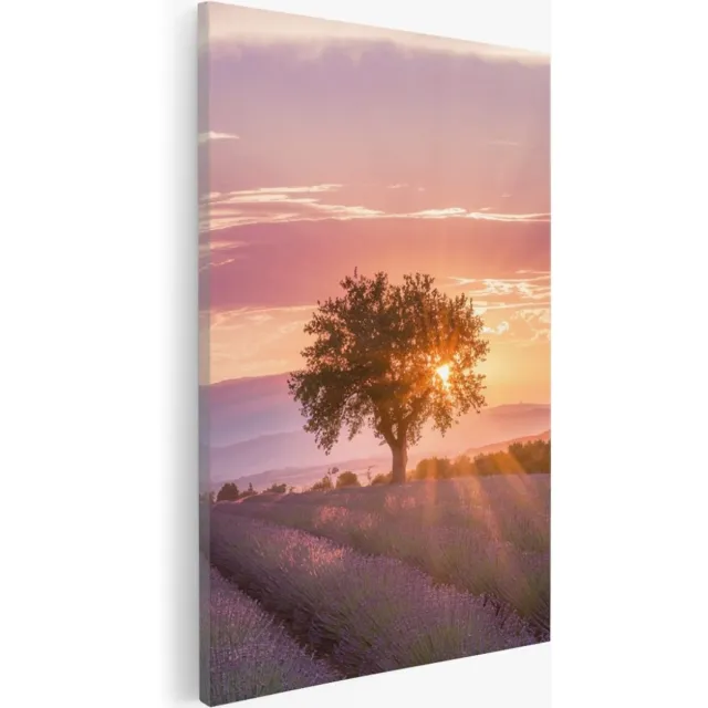 Saammp Canvas Schilderij - Lavendelveld met de zon tussen de boom - Natuur - Landschap - 60x90 - Foto op canvas - Wanddecoratie - Muurdecoratie Woonkamer - Slaapkamer decoratie - Canvas Print Multicolor