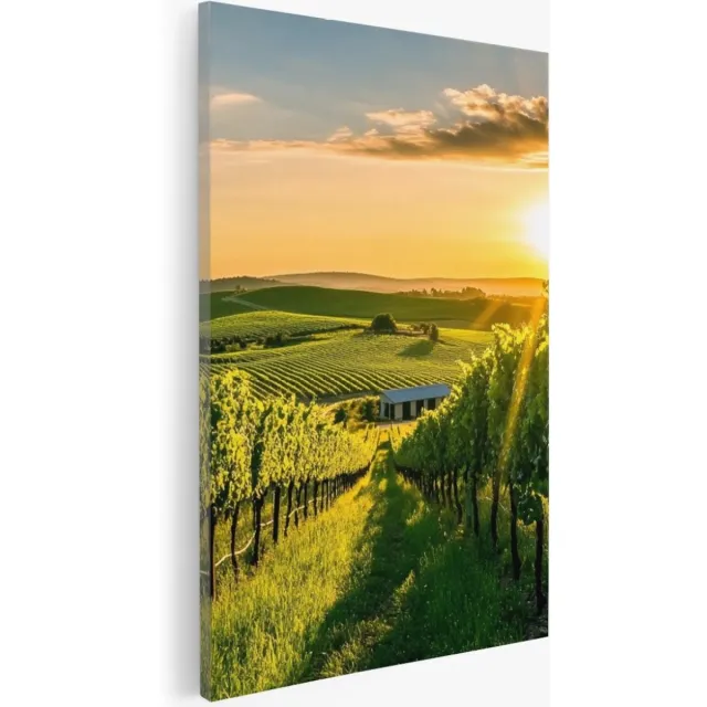 Saammp Canvas Schilderij - Wijngaarde met zonsondergang - Natuur - Landschap - 30x45 - Foto op canvas - Wanddecoratie - Muurdecoratie Woonkamer - Slaapkamer decoratie - Canvas Print Multicolor