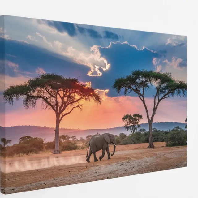 Saammp Canvas Schilderij - olifant in de serangeti - Afrika - Dieren - 50x40 - Foto op canvas - Wanddecoratie - muurdecoratie Woonkamer - Slaapkamer decoratie - Canvas Print Multicolor