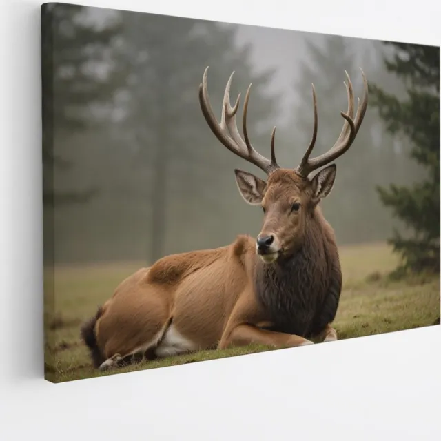 Saammp Canvas Schilderij - Liggend Hert - Natuur - Dieren - 90x60 - Foto op canvas - Wanddecoratie - Muurdecoratie Woonkamer - Slaapkamer decoratie - Canvas Print Multicolor