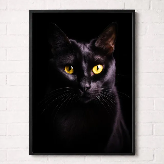 Kleurmedia Zwarte Kat Poster - Huisdieren Collectie - Dieren Posters - A1+ 61 x 91,5 cm