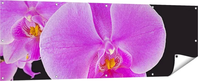 Gards Tuinposter Licht Paarse Orchidee - Bloem - 180x60 cm - Tuindoek - Tuindecoratie - Wanddecoratie buiten - Tuinschilderij Multikleur