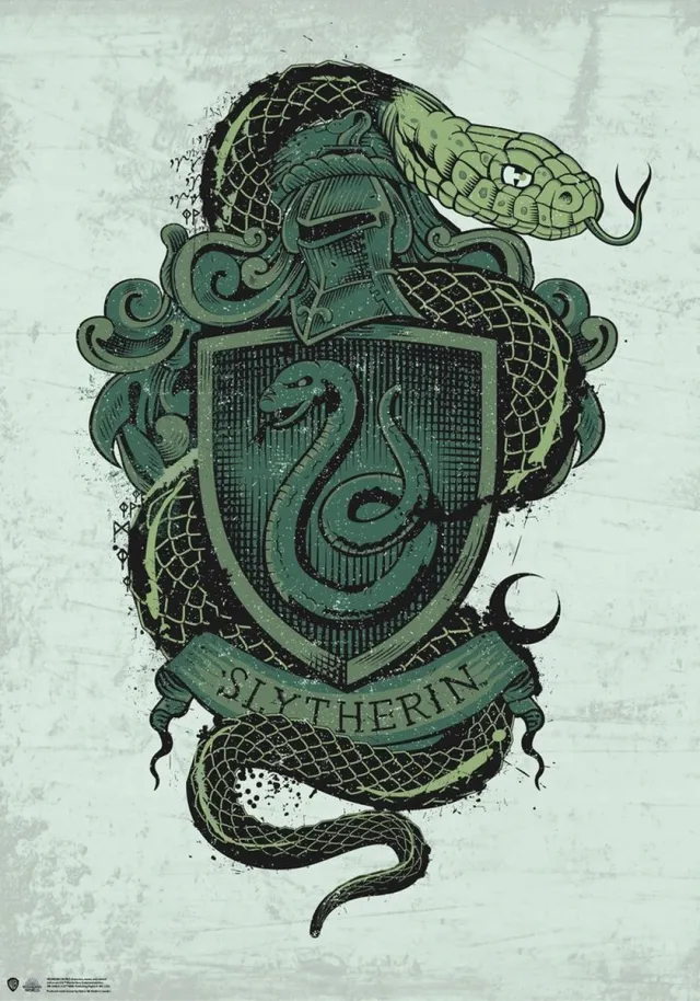 Harry Potter Slytherin-poster 1, veelkleurig Multicolor
