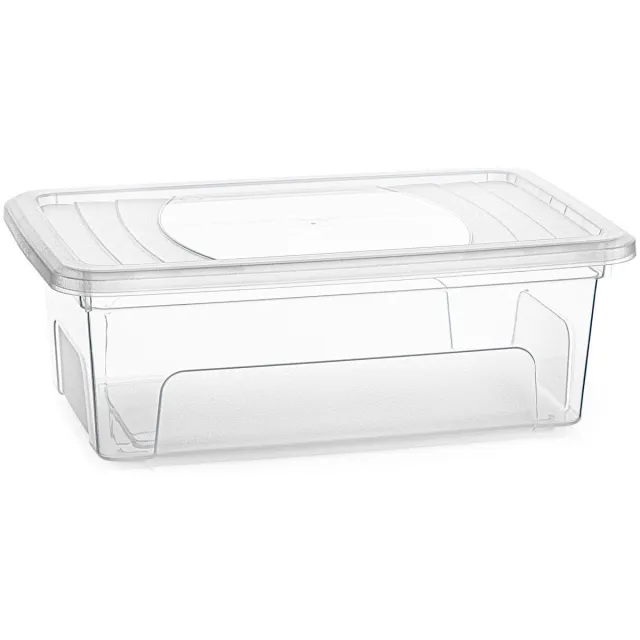 PLASTICFORTE Opslagbox Easy met deksel - 1x - 5.1 Liter - 33 x 21 x 12 cm - transparant - kunststof