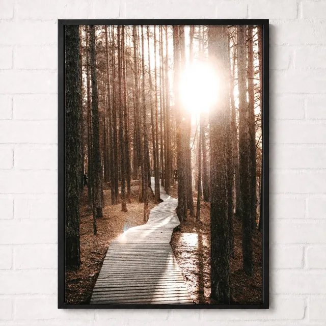 Kleurmedia Zonnig Vlonderpad door het Bos Poster - Forest Path Collection - Natuur Posters - A2+ 43,2 x 61 cm Bruin