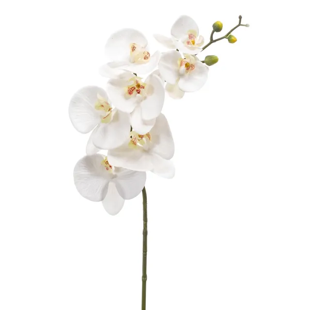 Emerald Kunstbloem Phalaenopsis RT wit 83cm - Kunstplant voor binnen