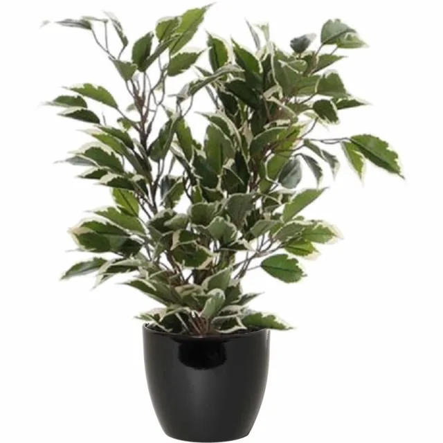 Mica Decorations Ficus kunstplant - groen/wit - 40 cm - met plantenpot - zwart - keramiek - D13.5 en H12.5 cm