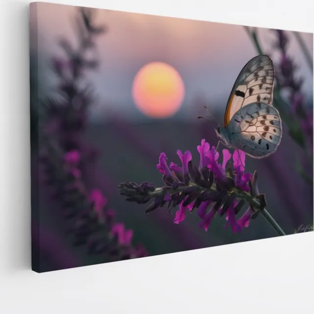 Saammp Canvas Schilderij - Vlinder op Bloemen - Abstract - Natuur - 90x60 - Foto op canvas - Wanddecoratie - Muurdecoratie Woonkamer - Kantoor Decoratie Multicolor