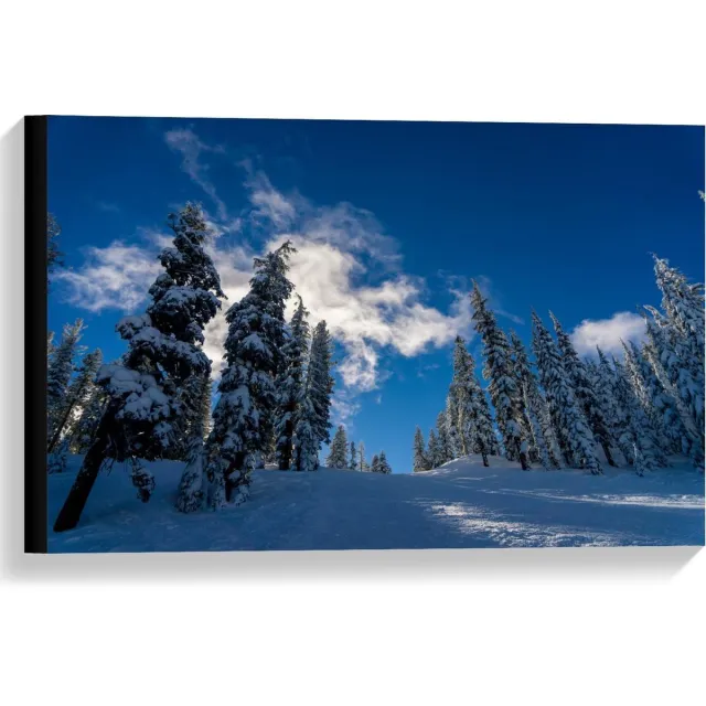 KuijsFotoprint Canvas - Blauwe Lucht met Besneeuwde Bomen - 60x40cm Foto op Canvas Schilderij (Wanddecoratie op Canvas)