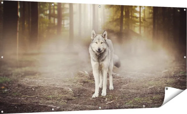 Gards Tuinposter Grijze Wolf in het Bos - 180x90 cm - Tuindoek - Tuindecoratie - Wanddecoratie buiten - Tuinschilderij Multikleur