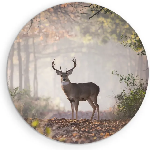 Saammp Muurcirkel Hout - Hert in het bos - Natuur - Dieren - Ø 60 - Wandcirkel - Wanddecoratie Cirkel - Muurdecoratie Woonkamer - Slaapkamer decoratie - Rond Schilderij