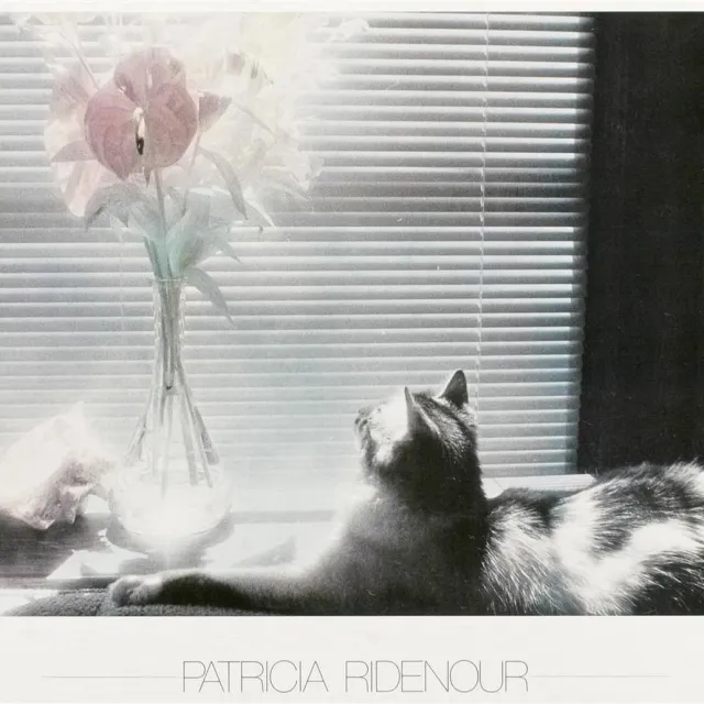 Catch Projecten Poster - Cat, Conch and Flowers - P. Ridenour - Zwart/Wit - Fotografie - Jaren 80