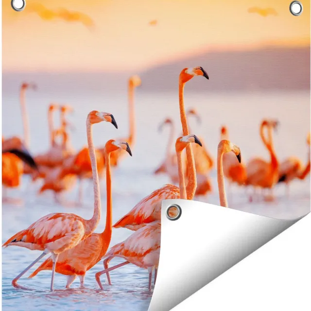 Gards Tuinposter Kudde Flamingo's in het Water - 40x40 cm - Tuindoek - Tuindecoratie - Wanddecoratie buiten - Tuinschilderij Multikleur