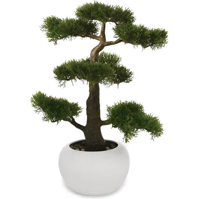 Dulaire Kunst Bonsai Boom 47 cm - B wit