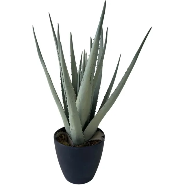 HEM Kunstplant Aloë Vera - 45 cm - 17 Uitlopers - Zwarte Pot met Mos - Realistische Nepplant Groen