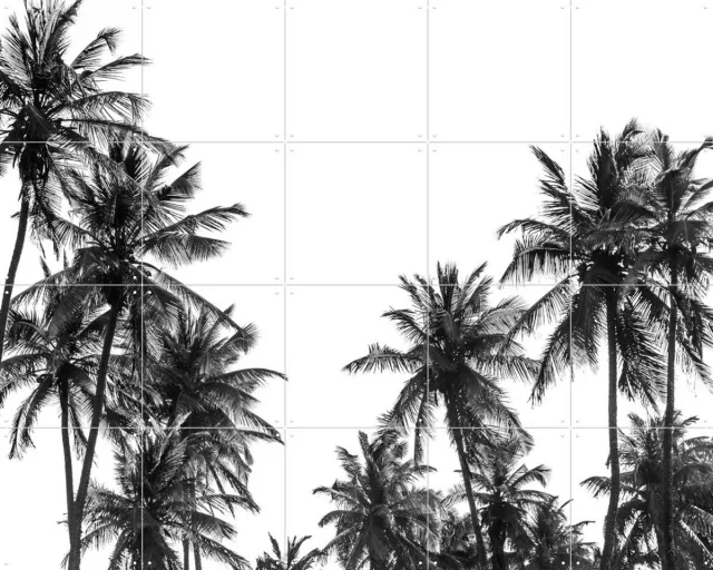 IXXI Palm Trees in Africa, Photolovers - 100 x 80 cm - Grote wanddecoratie en posters - Fotografie, Woonkamer, Slaapkamer, Silhouetten, Natuur Monochroom / Zwart en wit / Zwart