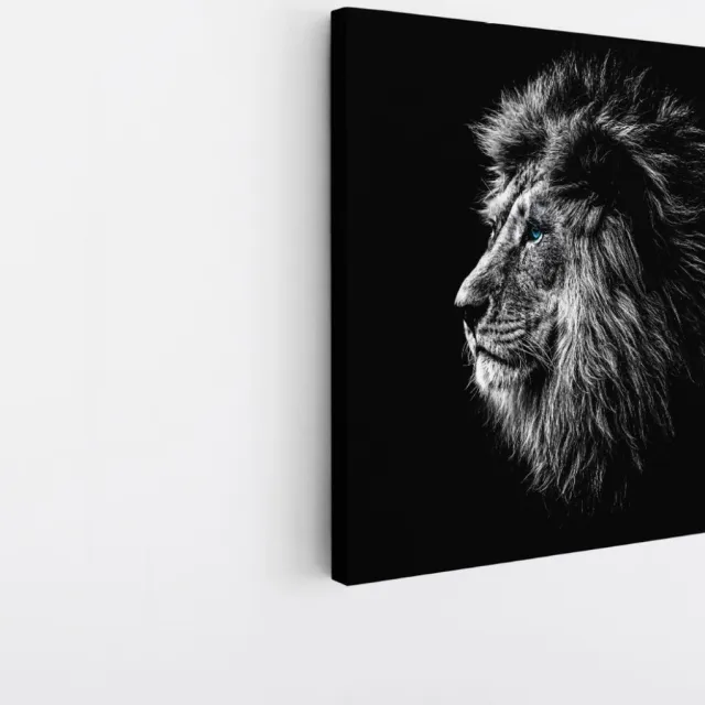 Saammp Canvas Schilderij - Portret van een Leeuw - Natuur - Dieren - 40x40 - Foto op canvas - Wanddecoratie - Muurdecoratie Woonkamer - Slaapkamer decoratie - Canvas Print Multicolor