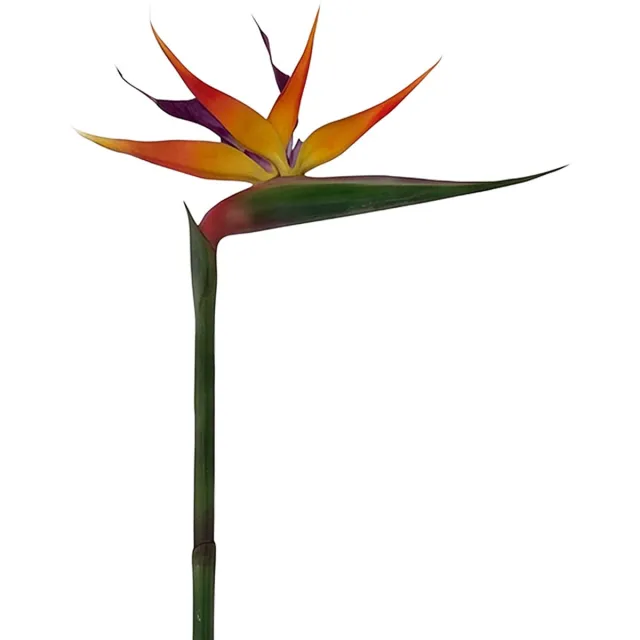 Clayre & Eef Kunstbloem Oranje Kunststof