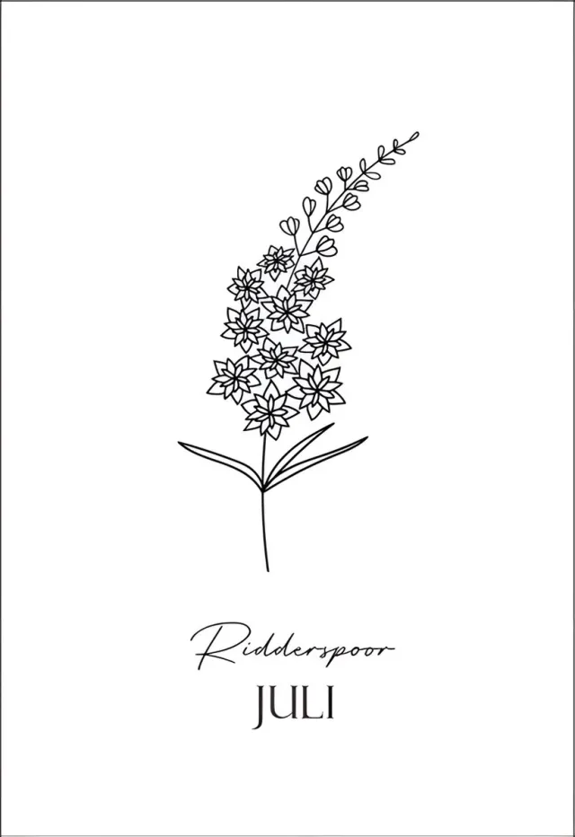 Nuuw Geboortebloem Juli Forex Wanddecoratie - 20x30cm - Ridderspoor - Persoonlijk Cadeau - NUUW wit