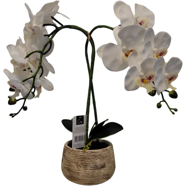 Cozy Maison Kunst-Orchidee in Pot – Wit – 40 cm – Realistische Bloemen – Onderhoudsvrije Kamerplant – Cementen Pot