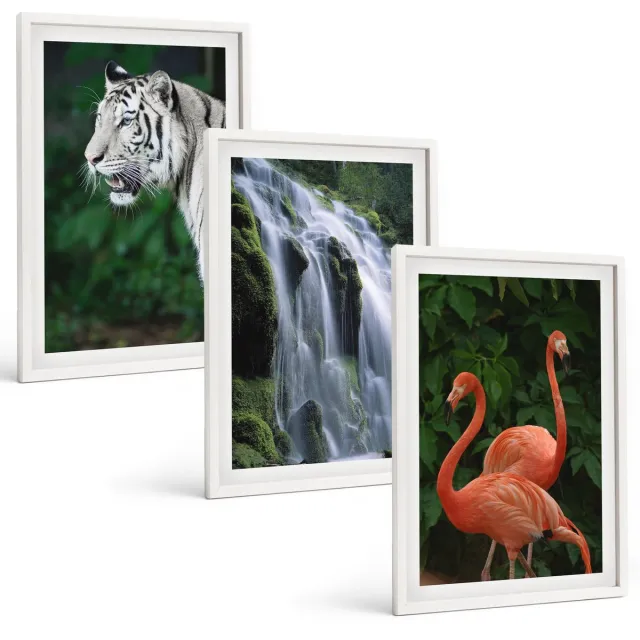 TULUP 3-Delige Schilderij Set - Tijgerwaterval en roze flamingo's in de natuur - 40x60 - Decoratieve Schilderijen - Wanddecoratie - Hal - Muurdecoratie Witte lijst