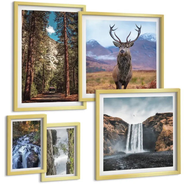 Coloray 5-Delige Schilderij Set - Natuurlandschappen Met Watervallen En Wilde Dieren - 50 x 50 cm, 20 x 30 cm En 40 x 60 cm - Moderne Wanddecoratie - Woonkamer Gouden lijst