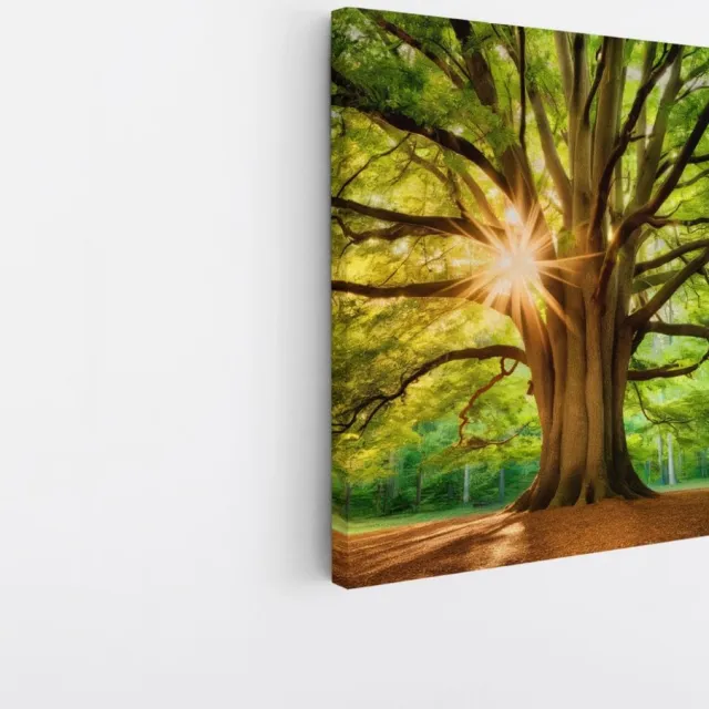 Saammp Canvas Schilderij - Grote Boom met tijdens goldenhour - Natuur - Landschap - 30x30 - Foto op canvas - Wanddecoratie - Muurdecoratie Woonkamer - Slaapkamer decoratie - Canvas Print Multicolor