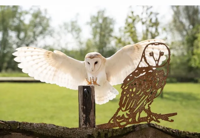 rusty friends uil - kerkuil - metalen vogel - cortenstaal