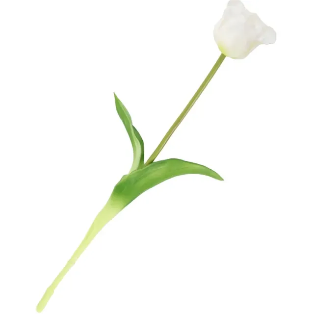 Homebound Kunst Tulp open real touch wit