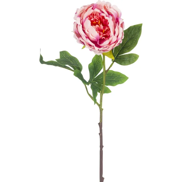 Easyplants Kunstbloem Pioenroos 61 cm roze | Zijde | Nepbloemen | roze | Onderhoudsvrij | Kant-en-klaar