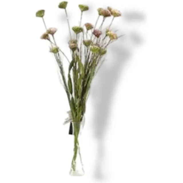 Buitengewoon Boet Kunst Tak Allium Wit/Roze Buitengewoon de Boet driekleurig