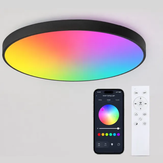 LOVHAUS LED Plafondlamp Ø30 cm – 24W – Dimbaar 2700K-6500K – Met Afstandsbediening & App Zwart