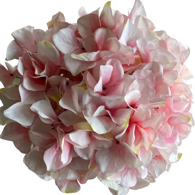 Daan kromhout bloemen Hortensia light pink Pink roze wit groen