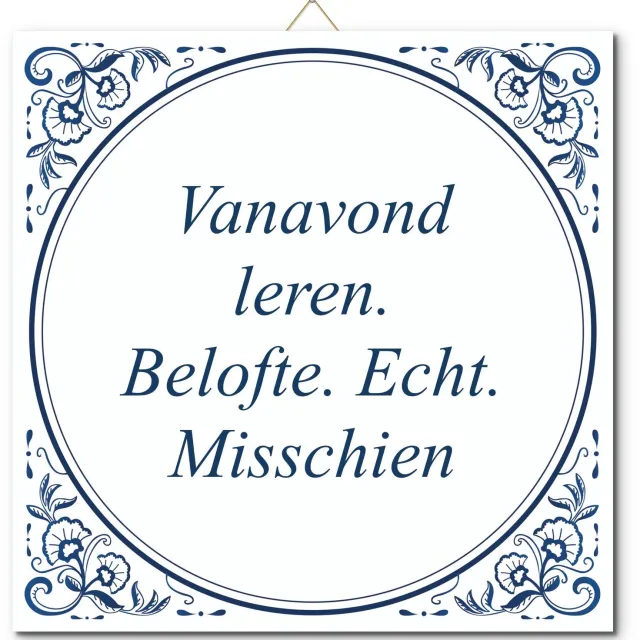 De Tegeltjesfabriek Tegeltje: Vanavond leren. Belofte. Echt. Misschien (met standaard) wit en blauw