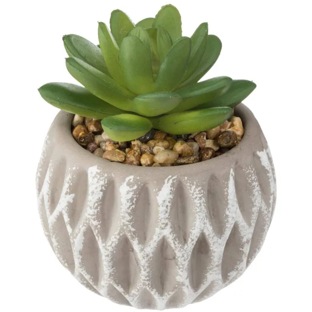 Atmosphera Créateur d'intérieur® Kunstmatige vetplant SHINA Multicolore