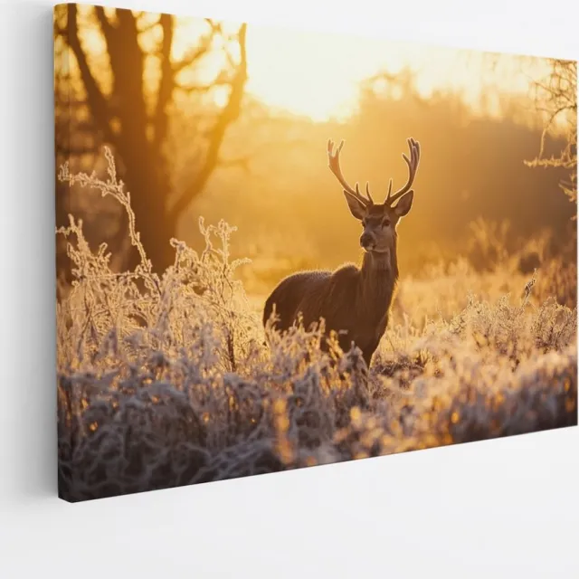 Saammp Canvas Schilderij - Natuur - Hert in wei - winter - Dieren - 100x75 - Foto op canvas - Wanddecoratie - Muurdecoratie Woonkamer - Slaapkamer decoratie - Canvas Print Multicolor