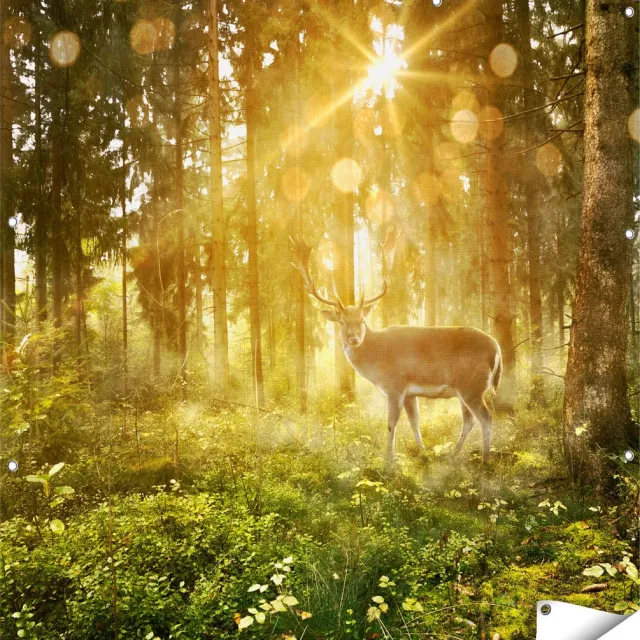 Gards Tuinposter Hert in Bos met Zon - 120x120 cm - Tuindoek - Tuindecoratie - Wanddecoratie buiten - Tuinschilderij Multikleur