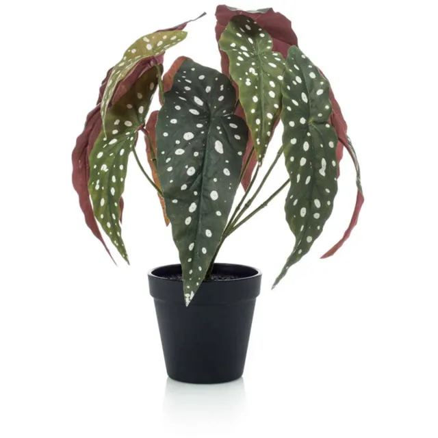 Emerald Kunstplant in pot Begonia Maculata 33cm - Kunstplant voor binnen Groen