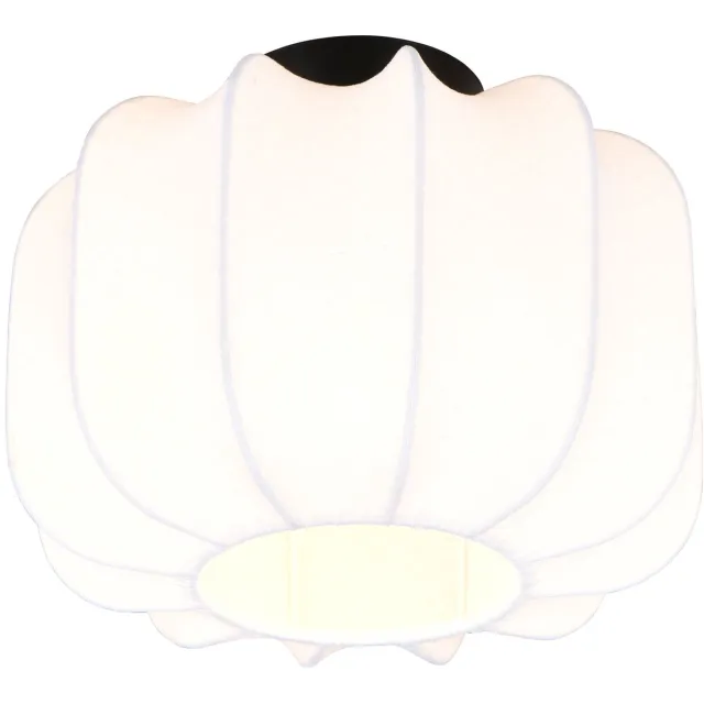 RL LIVE YOUR LIGHT REALITY MADELINE - Plafondlamp - Zwart mat - excl. 1x E27 4 W - Wand- en plafondmontage - Casalum
