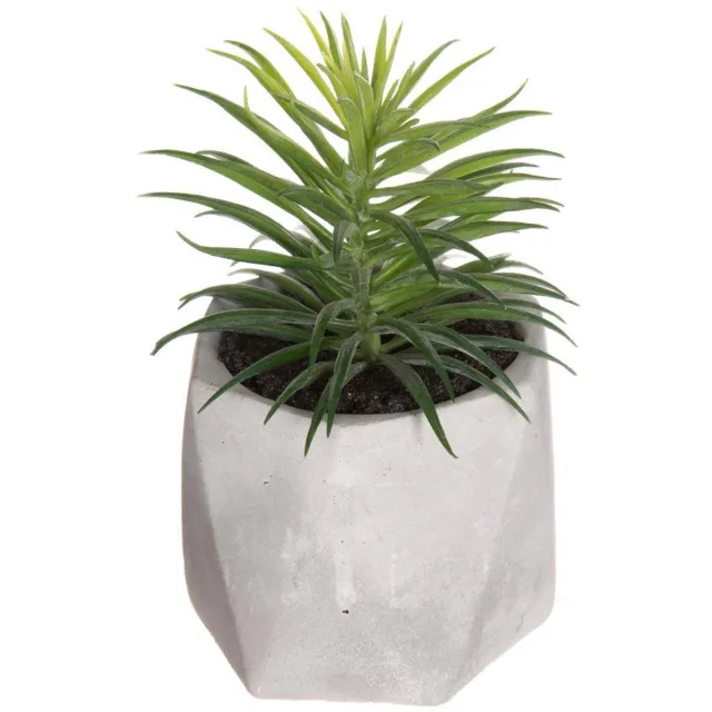 Atmosphera Créateur d'intérieur® Kunstvetplant MASAO Noir