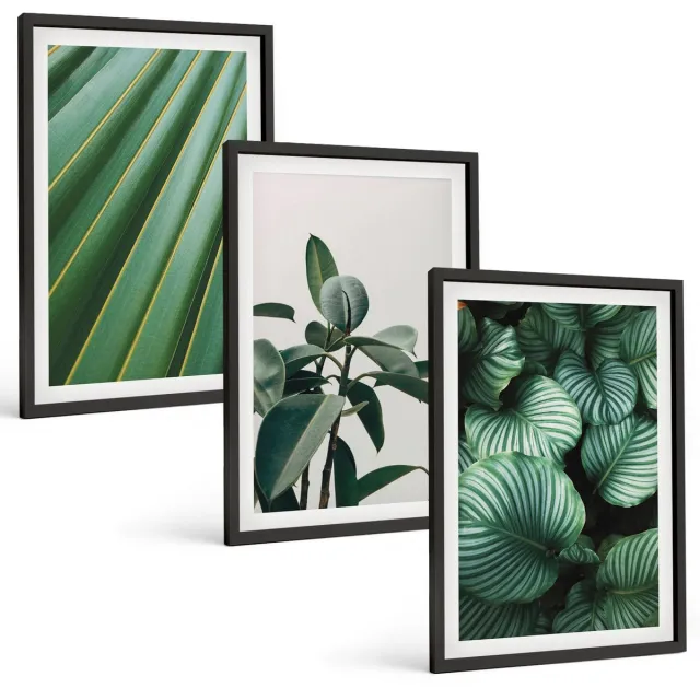 Coloray 3-Delige Schilderij Set - Esthetische Tropische Bladeren In Diverse Groene Tinten - 40 x 60 cm - Muurdecoratie - Decoratieve Schilderijen - Wohnzimmer - Interieur Decoratie Zwarte lijst
