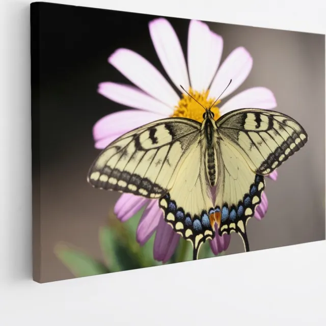 Saammp Canvas Schilderij - Vlinder op grote roze bloem - Natuur - Dieren - 30x20 - Foto op canvas - Wanddecoratie - Muurdecoratie Woonkamer - Slaapkamer decoratie - Canvas Print Multicolor