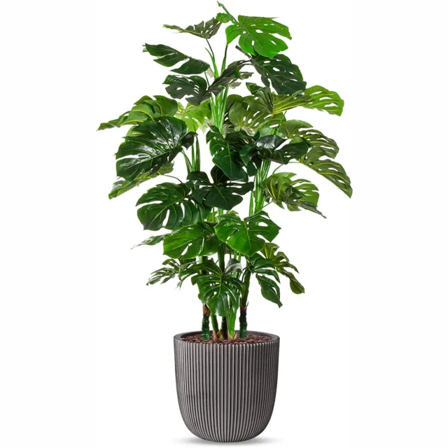 HTT Decorations Kunstplant Monstera XL in Planter Ball groove antraciet H155 cm